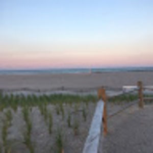 Meet your Posher, Molly